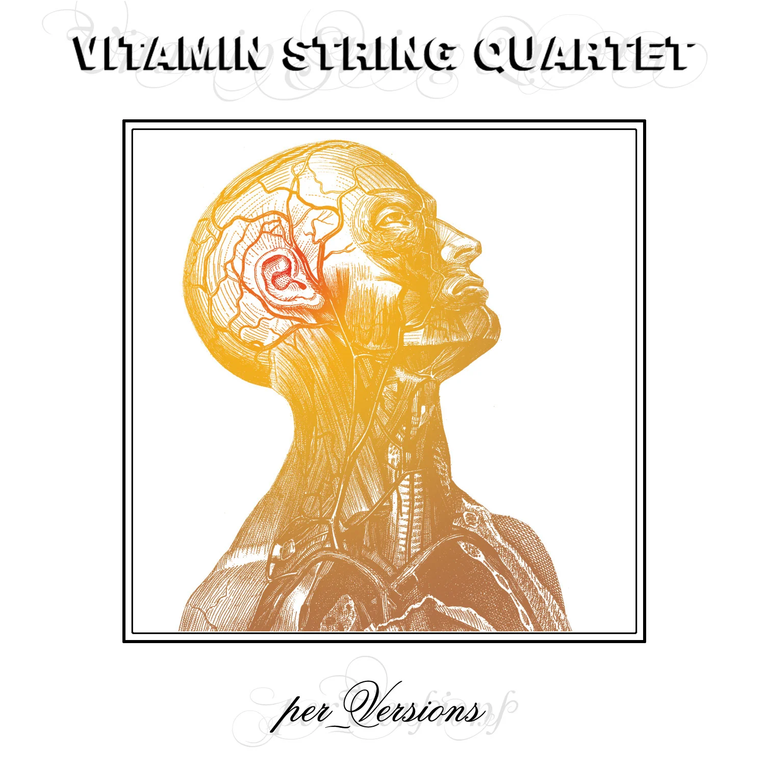 Vitamin String Quartet: Per_Versions